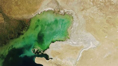 From California to Uzbekistan, the world’s largest lakes are shrinking dramatically and scientists say they know why